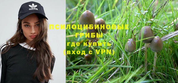 соль курить ск Богданович